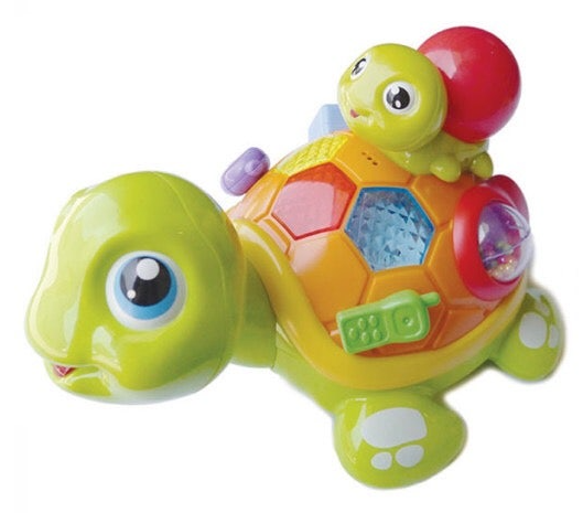 스마트 터틀 패밀리