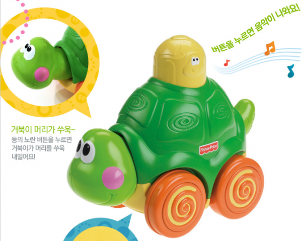 기어가는 아기거북이